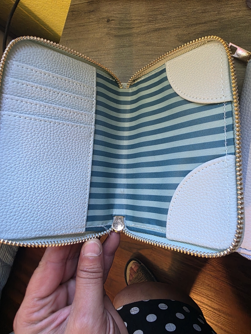 Passport Wallet 1 of each light blue and light green.